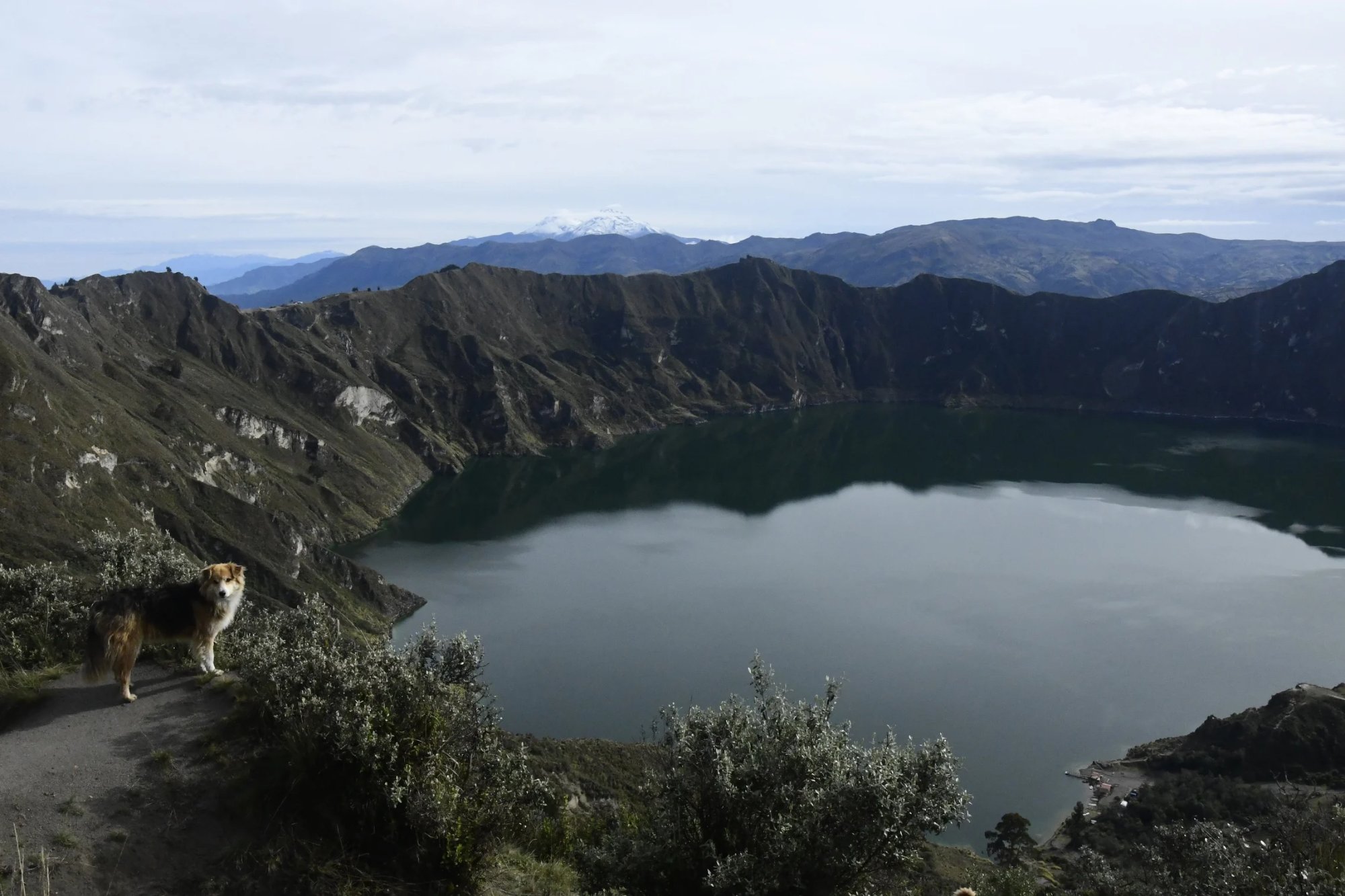 Stray buddy at Laguna de Quilotoa